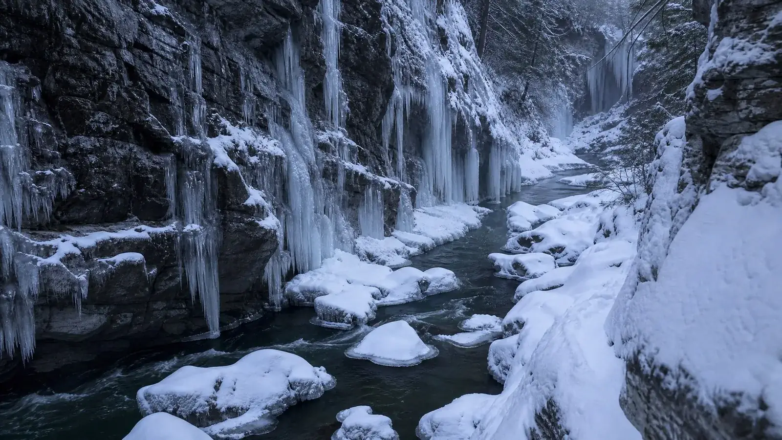 In Winter